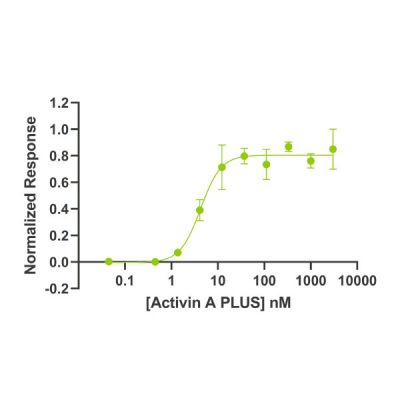 Activin A PLUS activity is determined using an activin-responsive firefly luciferase reporter in HEK293T cells. in triplicate with a serial dilution of activin A for 6 hours. Firefly luciferase activity is measured and normalized to the control Renilla luciferase activity. EC50 = 0.103 ng/mL (4.24 pM). EC50 is within the expected range of 6 ± 2 pM.